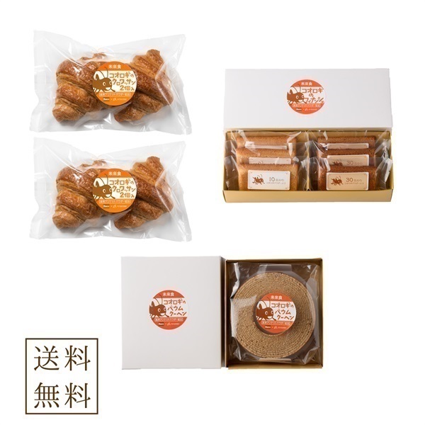 【送料無料】コオロギのわくわくセット(昆虫食)／未来食Labo