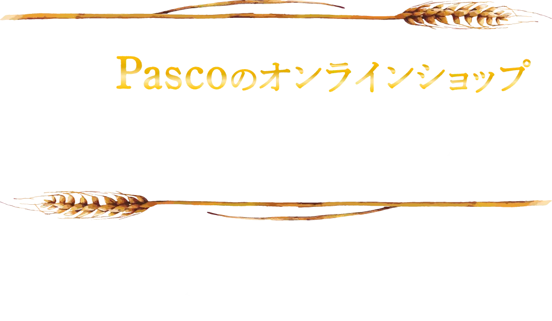 Pascoのオンラインショップ 6th Anniversary 【2024年12月19日(木)まで】