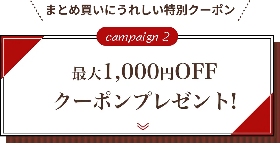 campaign 2 まとめ買いにうれしい特別クーポン【最大1,000円OFFクーポンプレゼント!】