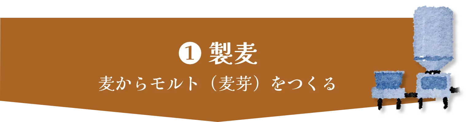 ❶ 製麦　麦からモルト（麦芽）をつくる