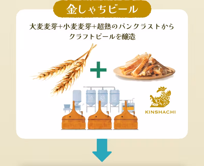 金しゃちビール 大麦＋超熟のパンクラストから クラフトビールを醸造