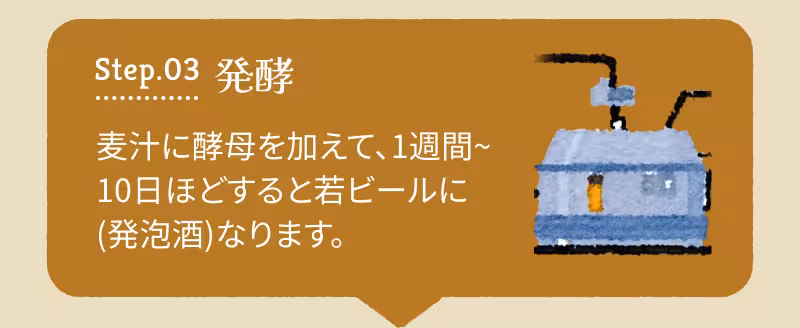 Step.03 発酵 麦汁に酵母を加えて、1週間〜10日ほどすると若ビールに（発泡酒）なります。
