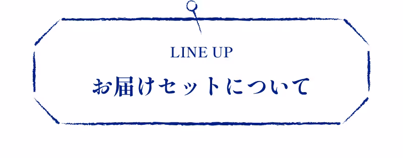 LINE UP お届けセットについて