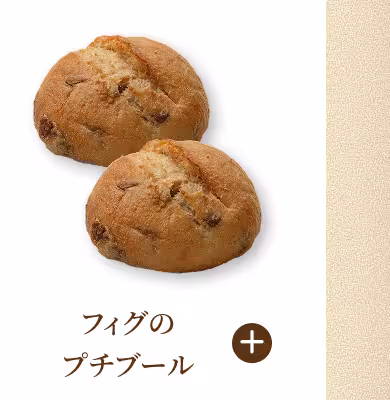 フィグのプチブール