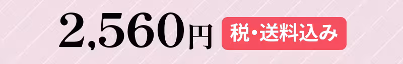 2,560円（税・送料込み）