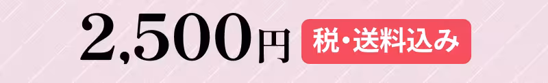 2,500円（税・送料込み）