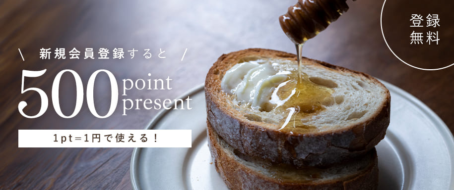 新規会員登録で500ポイントプレゼント