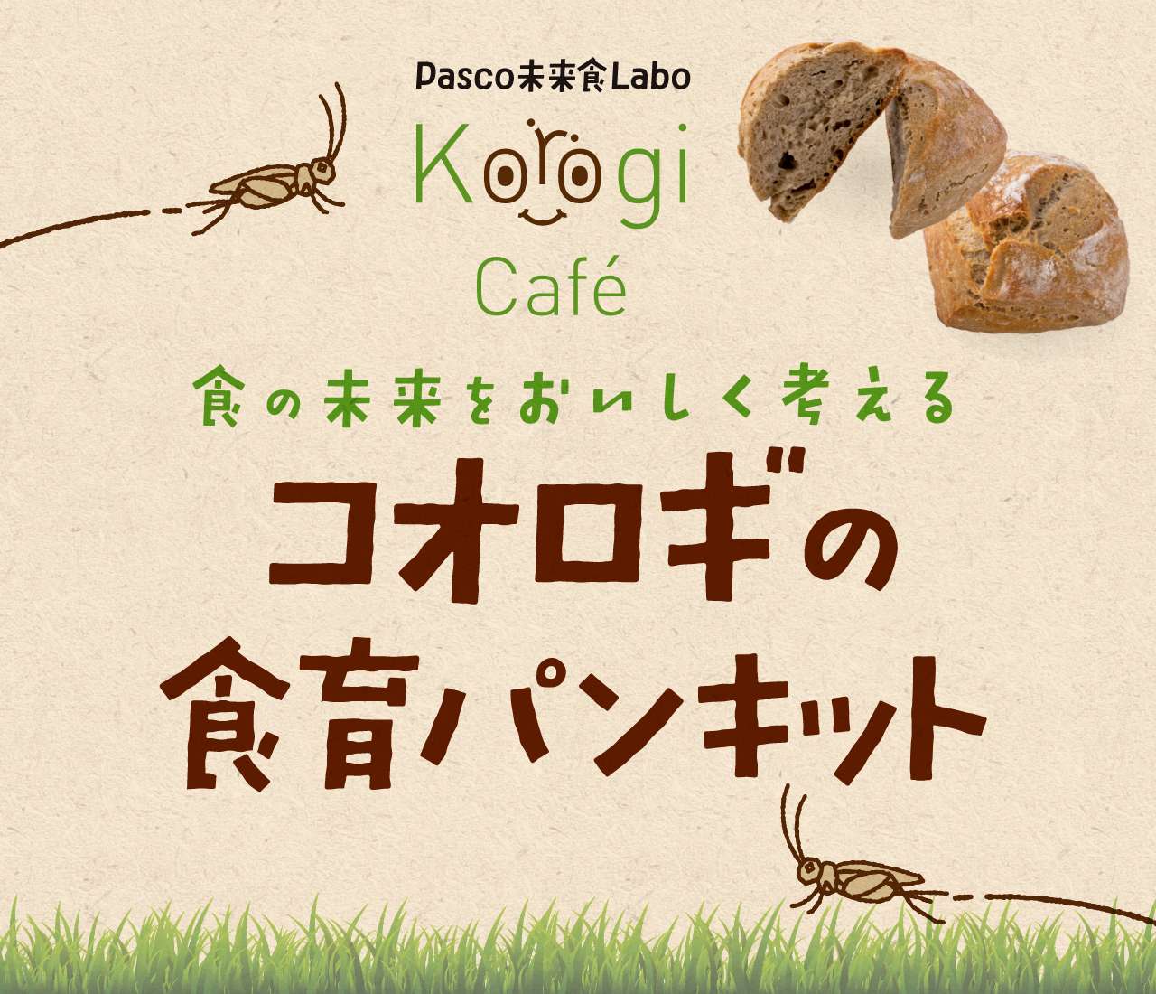 コオロギ食育パンキット